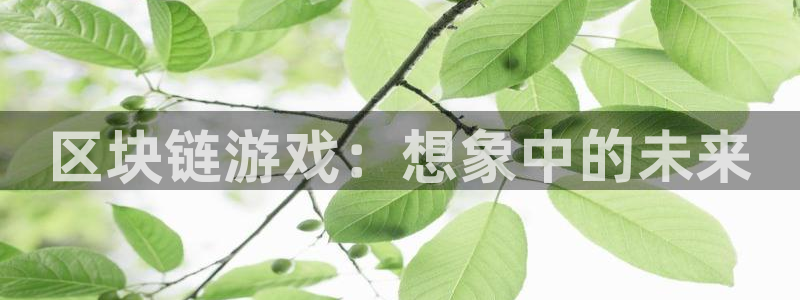 陕西bbin视讯子文化创意有限公司有什么游戏