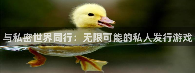 广东bbin视讯电子商务有限公司电话：与私密世界同行：无限可能的私人发行游戏