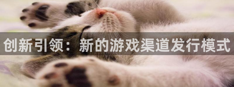 bbin视讯衣服怎么样：创新引领：新的游戏渠道发行模式