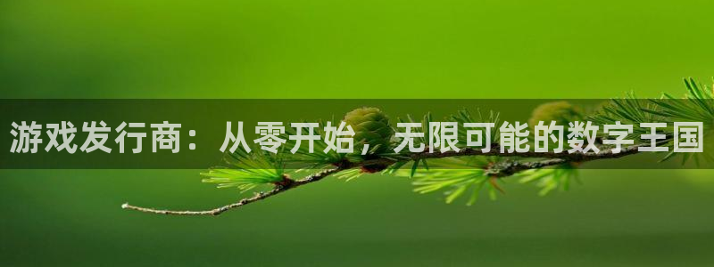 bbin视讯官网官网注册账号密码：游戏发行商：从零开始，无限可能的数字王国