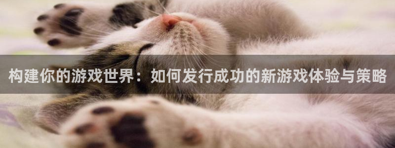 bbin视讯有什么寓意