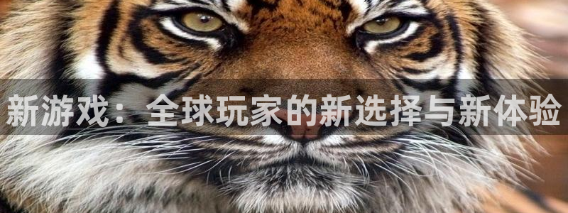 bbin视讯官网注册平台官网下载：新游戏：全球玩家的新选择与新体验