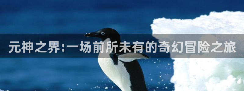 bbin视讯官网怎么注册账号：元神之界:一场前所未有的奇幻冒险之旅