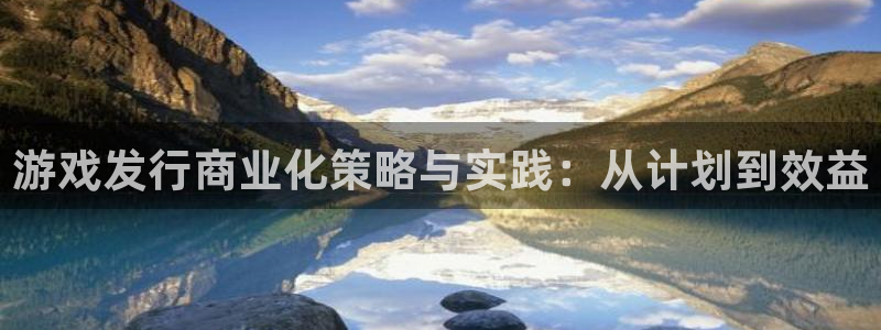 bbin视讯涂料(北京)有限公司：游戏发行商业化策略与实践：从计划到效益