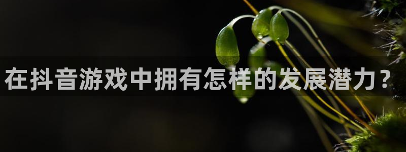 bbin视讯军团是哪个国家队