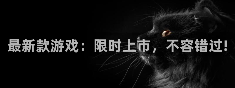 bbin视讯子出版社董事长