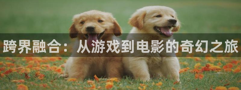 bbin视讯官网注册平台官网登录：跨界融合：从游戏到电影的奇幻之旅