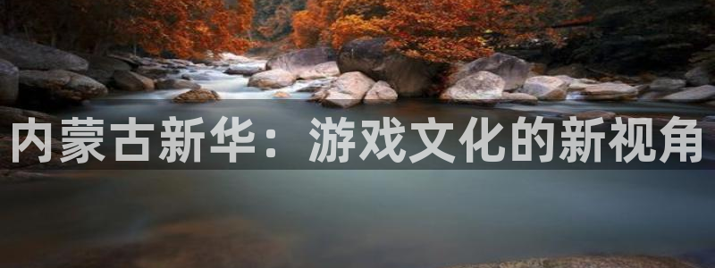 bbin视讯子财经图书：内蒙古新华：游戏文化的新视角