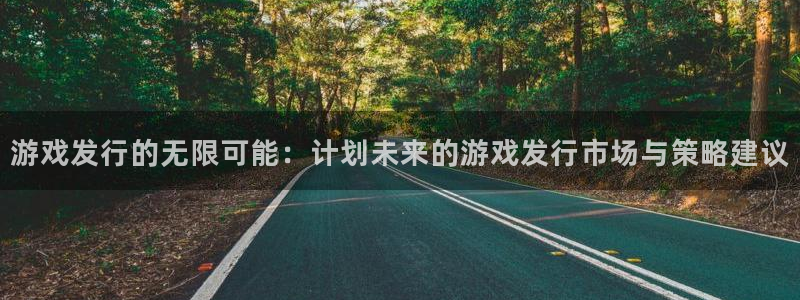 bbin视讯电子商务怎么样：游戏发行的无限可能：计划未来的游戏发行市场与策略建议