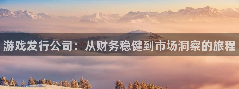 bbin视讯官网登录注册账号安全吗是真的吗：游戏发行公司：从财务稳健到市场洞察的旅程