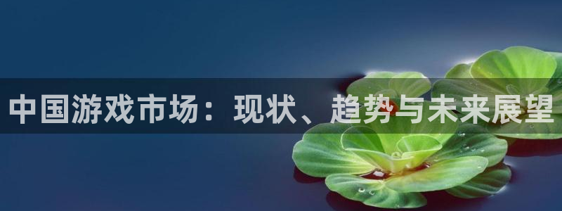 bbin视讯官网分红