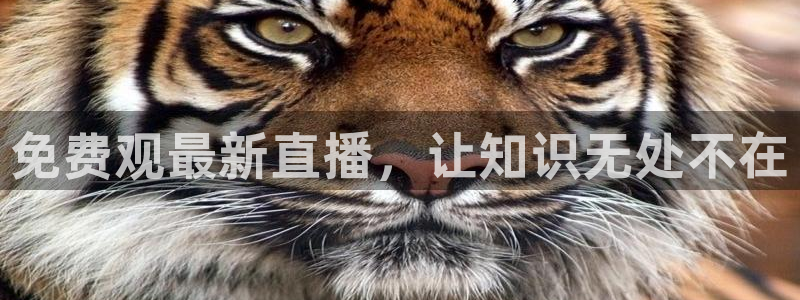 jrkan直播篮球：免费观最新直播，让知识无处不在
