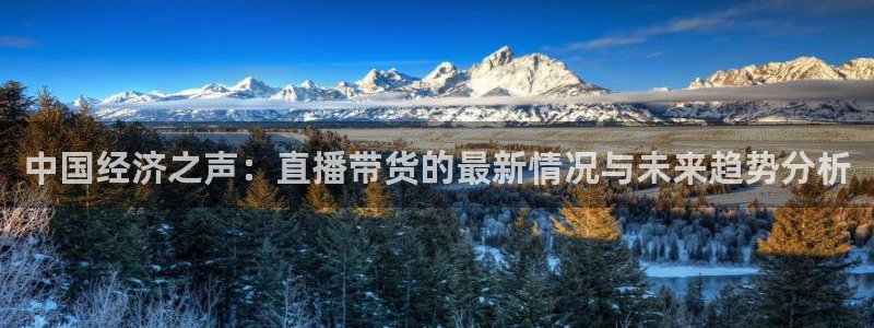 jrkan直播nba在线观看：中国经济之声：直播带货的最新情况与未来趋势分析